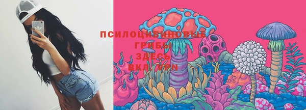 МДПВ Арсеньев
