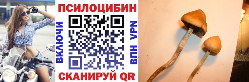 купить наркотик  мега сайт  Псилоцибиновые грибы мухоморы  Рыльск 