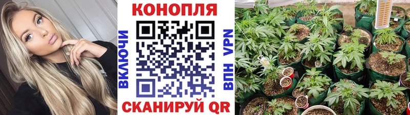 Конопля White Widow  Рыльск 